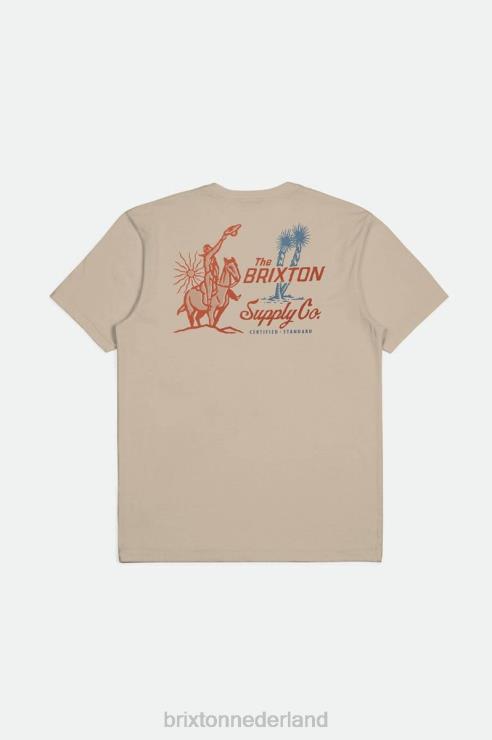 kleding rook grijs Brixton 0ZD0J35 Heren austin s/s op maat gemaakt T-shirt