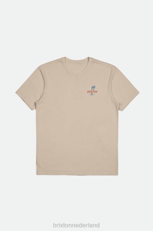 kleding rook grijs Brixton 0ZD0J35 Heren austin s/s op maat gemaakt T-shirt