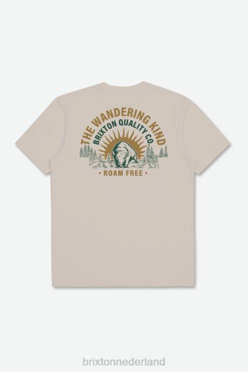 kleding room Brixton 0ZD0J48 Heren zwerven gratis s/s standaard tee