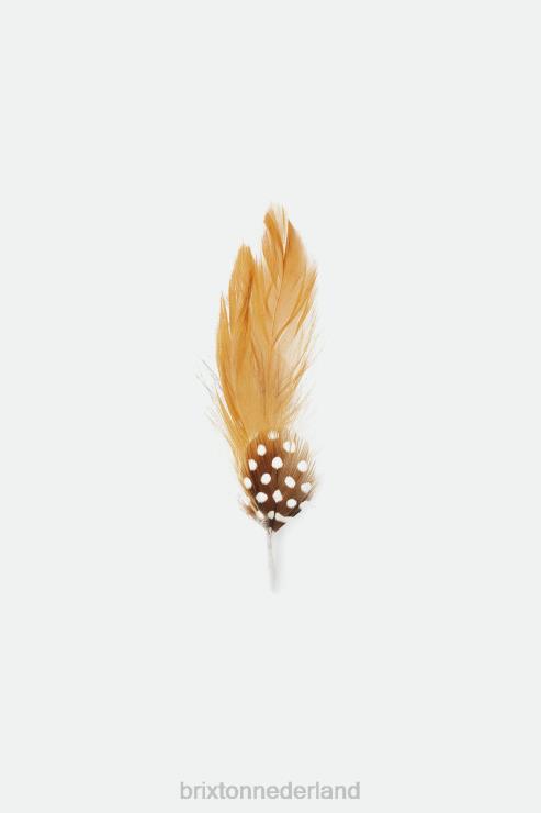 accessoires bruin Brixton 0ZD0J361 uniseks brad universele hoedenveer