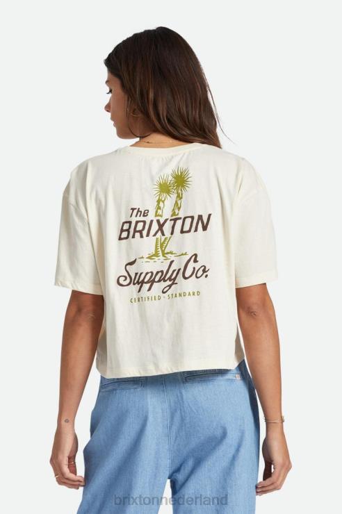 kleding witte pet Brixton 0ZD0J440 vrouwen austin rvs skimmer tee