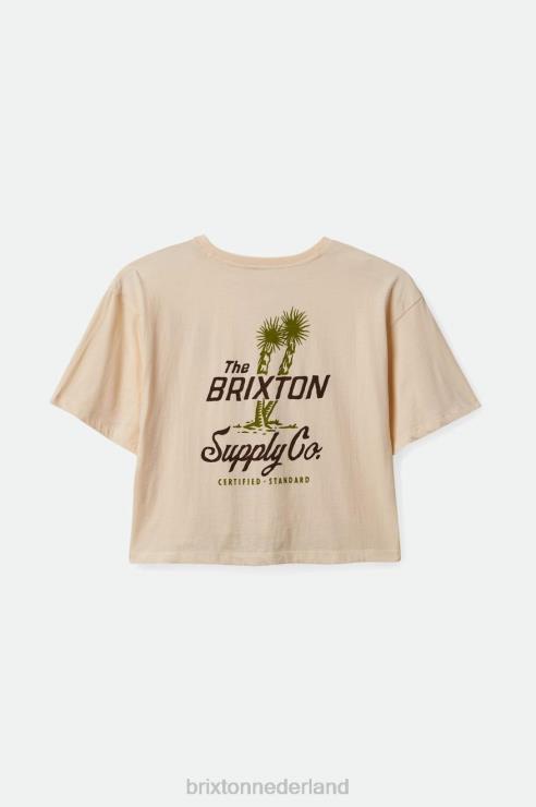 kleding witte pet Brixton 0ZD0J440 vrouwen austin rvs skimmer tee